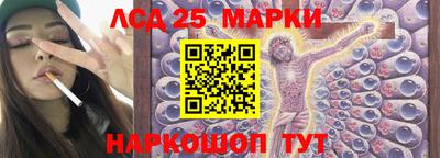 индика Кандалакша