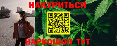 индика Кандалакша
