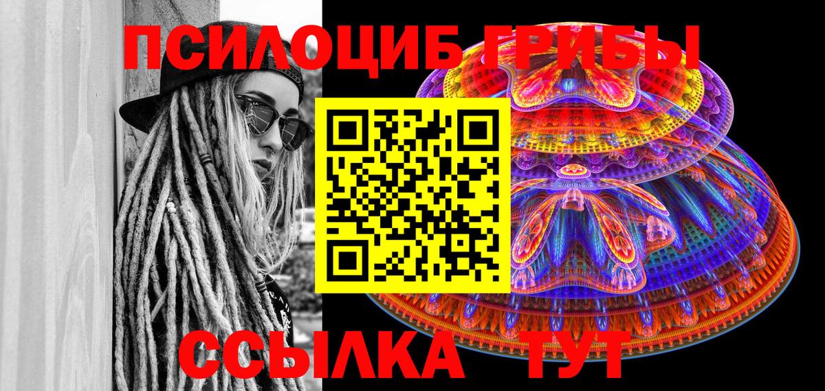 Псилоцибиновые грибы мицелий Куйбышев
